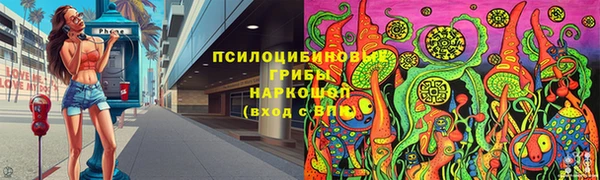 apvp Лабытнанги