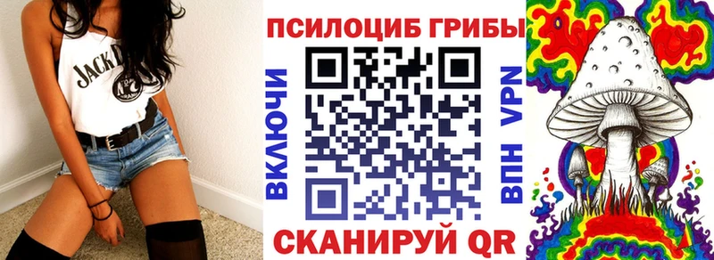 Псилоцибиновые грибы мицелий  купить наркоту  Дербент 